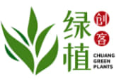 丑芙蓉